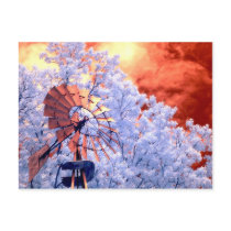 Infrared Windmill postcards