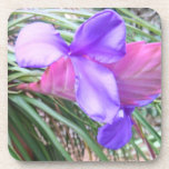 Infrequent Bloomer Coasters