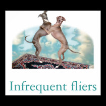 Infrequent fliers posters