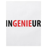 Ingenieur Genie icon flyers