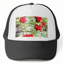 Ingrid Bergman Roses hats by lifesphere Ingrid Bergman Roses hats