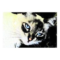 Ink Cat Large Canvas Print