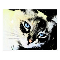 Ink Cat Postcard