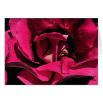 Ink Rose Cards
