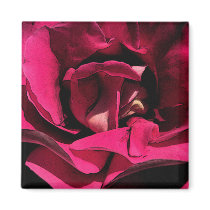 Ink Rose Magnets