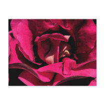 Ink Rose Notes Card