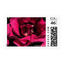 Ink Rose Stamps