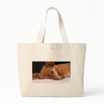 Inki The Chihuahua Bag by Barbara Stock