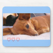 Inki the Chihuahua mousepads by Barbara_Stock Inki the Chihuahua mousepads