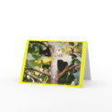 INKY2 cards