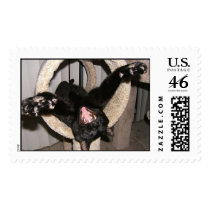 Inky postage