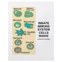Innate Immune System Cells Inside Flyer