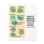 Innate Immune System Cells Inside Post Card