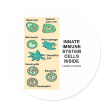 Innate Immune System Cells Inside Stickers