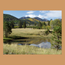 Inner Basin posters
