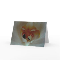Inner beauty cards by JennieM Inner beauty cards