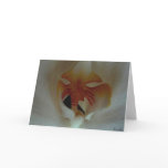 Inner beauty cards