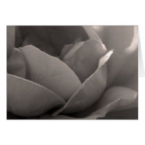 Inner Beauty cards by Rainmountain Inner Beauty cards