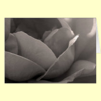 Inner Beauty cards by Rainmountain Inner Beauty cards