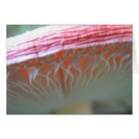 Inner beauty card