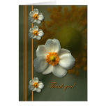 'Inner Beauty' cards