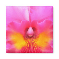 Inner Beauty magnets