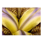 Inner Beauty Print Inner Beauty Print