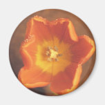 Inner Beauty-Tulip Magnet