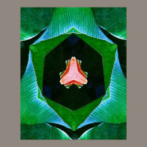 Inner Delight Poster posters