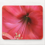 Inner Flower Mouse Pads