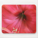 Inner Flower mousepads