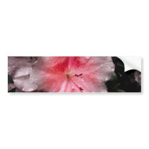 Inner Glow Bumper Sticker