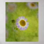Inner Glow Posters