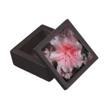 Inner Glow Premium Gift Box