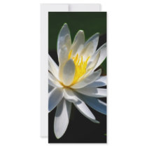 Inner Glow rack cards