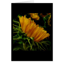 Inner Harbor Sunflower Greeting Card