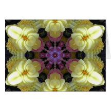 Inner Wisdom Mandala Cards