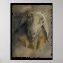 allegory, animal, portrait, sheep, conceptual, digital art, digital realism, surreal, surreal art, unique, old, old photo, photo, posters, prints, art posters, fairy posters, cool posters, surrealism, Poster with custom graphic design