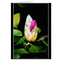 Innocence_by_shokara cards