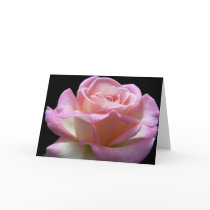 Innocence cards