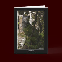 INNOCENCE Grey Wolf Note Cards & Greeting Cards by RavenSpiritPrints INNOCENCE Grey Wolf Note Cards & Greeting Cards