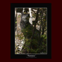 INNOCENCE II Wolf Poster posters by RavenSpiritPrints INNOCENCE II Wolf Poster posters