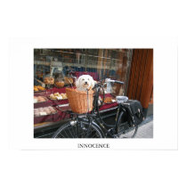 Innocence posters