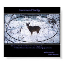innocense & purity posters