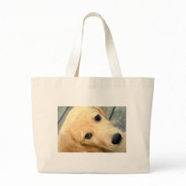 Innocent Abby Bag