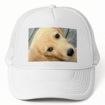 Innocent Abby Hat