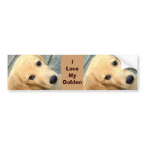 Innocent Abby - I Love My Golden Bumper Sticker bumper stickers by SjStevenson Innocent Abby - I Love My Golden Bumper Sticker bumper stickers