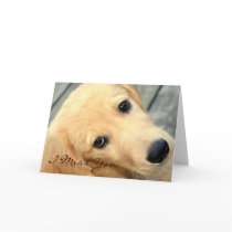 Innocent Abby - I Miss You Card