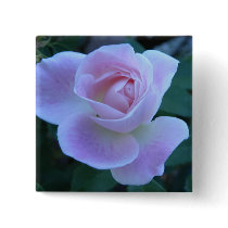Innocent blush pin