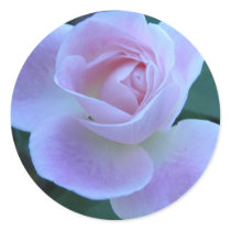 Innocent blush round stickers